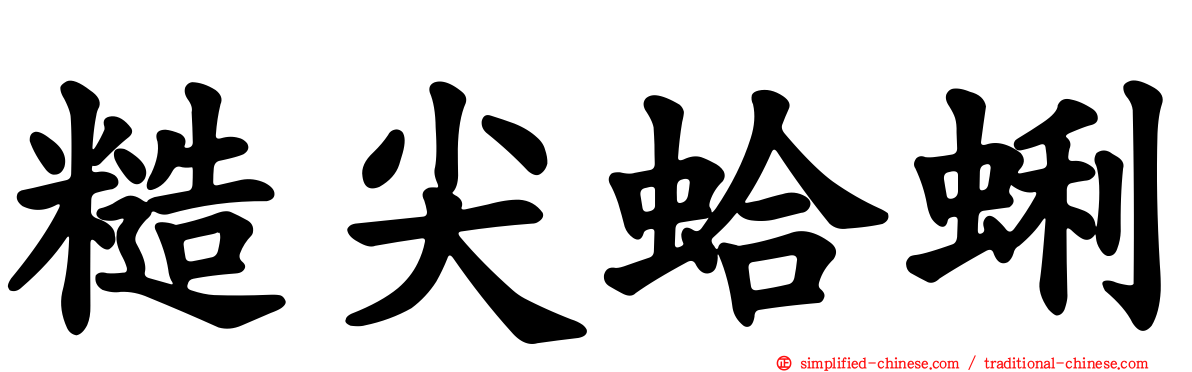 糙尖蛤蜊