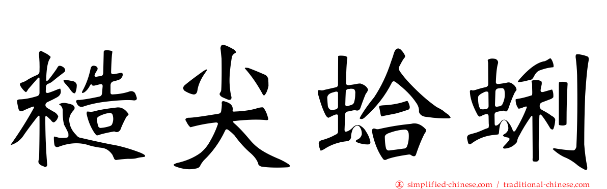 糙尖蛤蜊