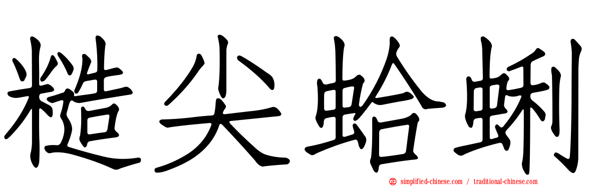 糙尖蛤蜊