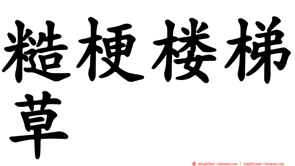 糙梗楼梯草