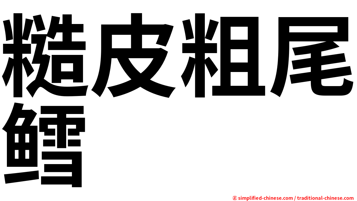 糙皮粗尾鳕
