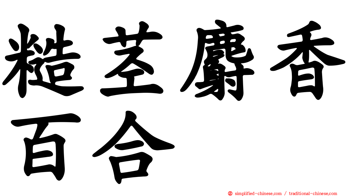 糙茎麝香百合