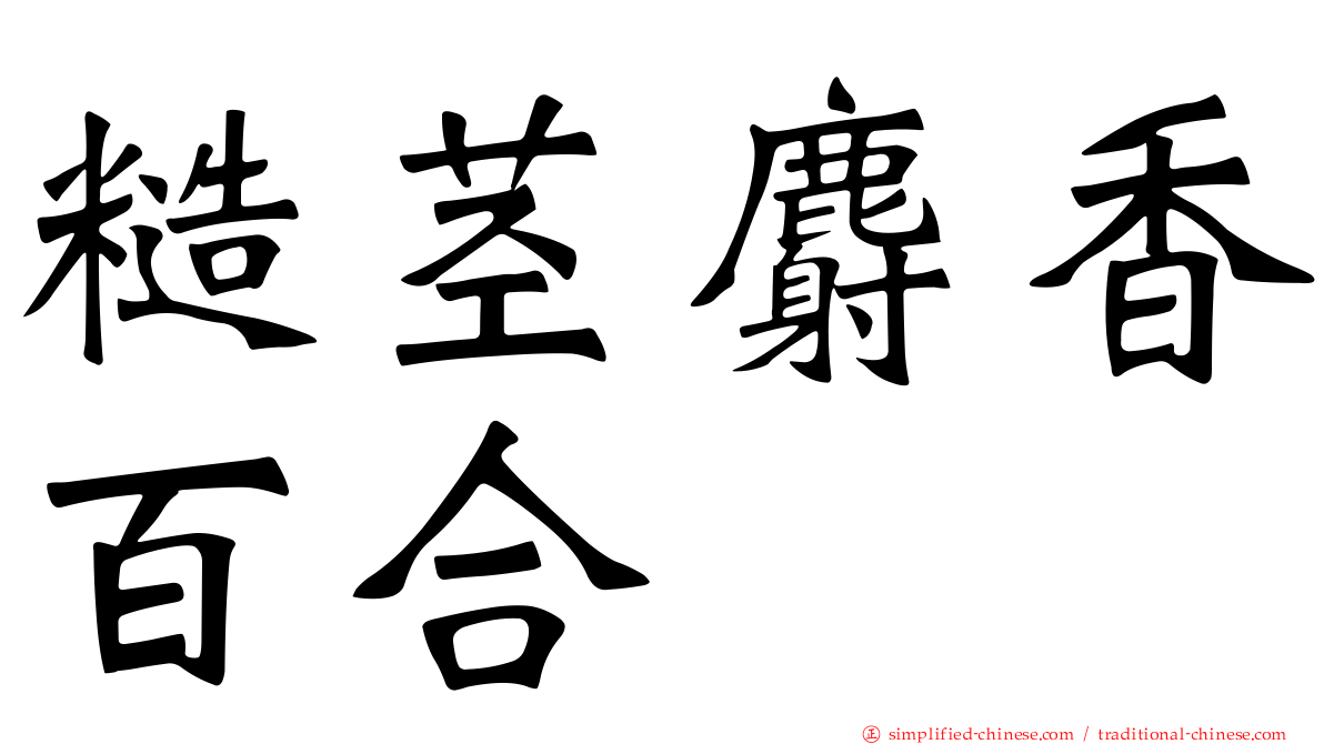 糙茎麝香百合