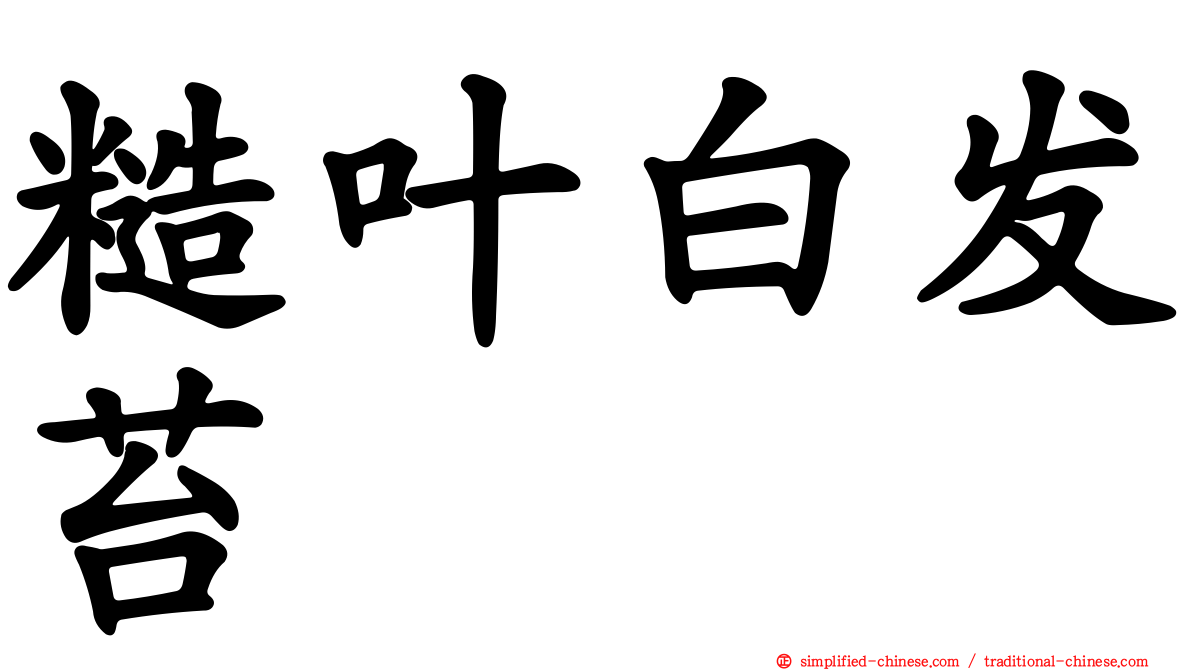糙叶白发苔