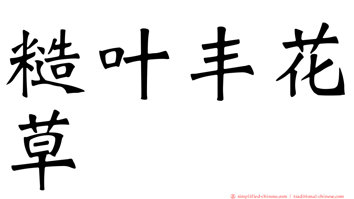糙叶丰花草