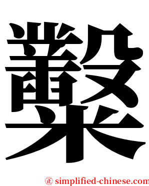 糳 serif font