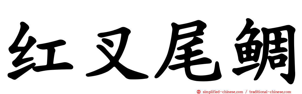 红叉尾鲷
