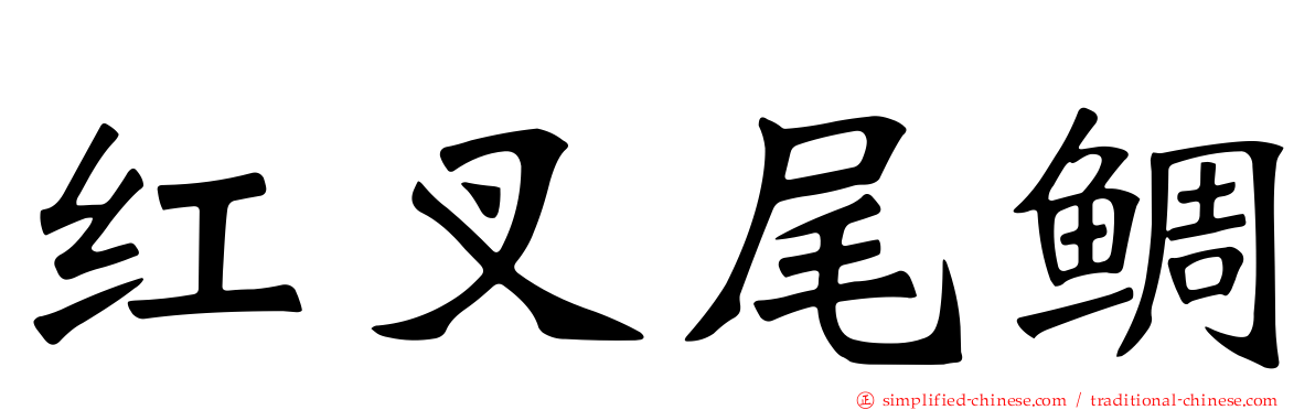 红叉尾鲷