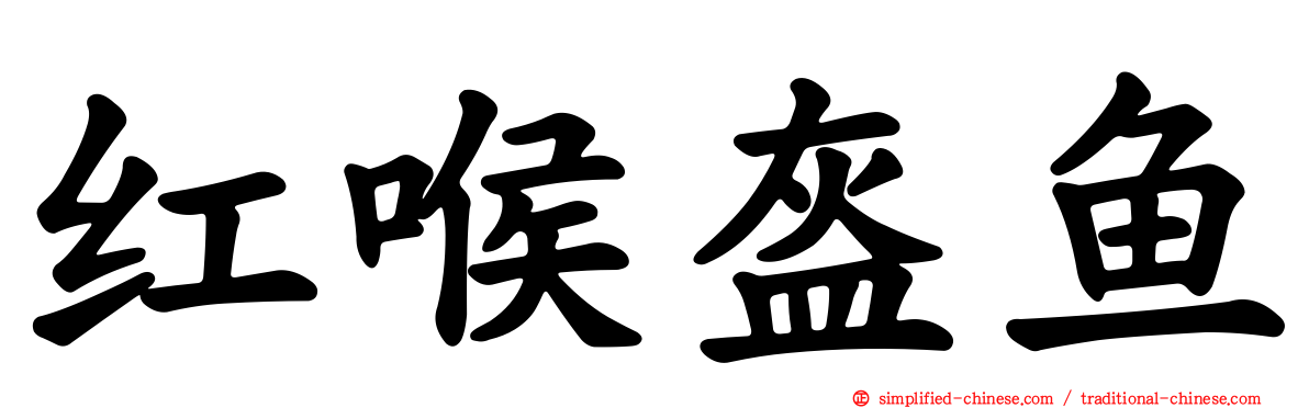 红喉盔鱼