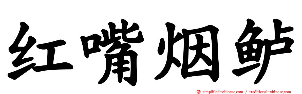 红嘴烟鲈