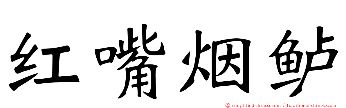 红嘴烟鲈