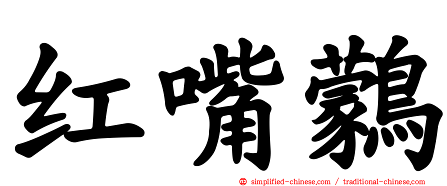 红嘴鹲
