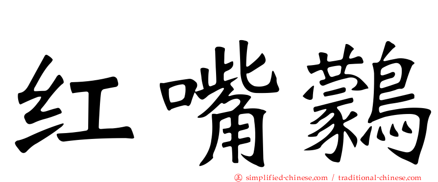 红嘴鹲