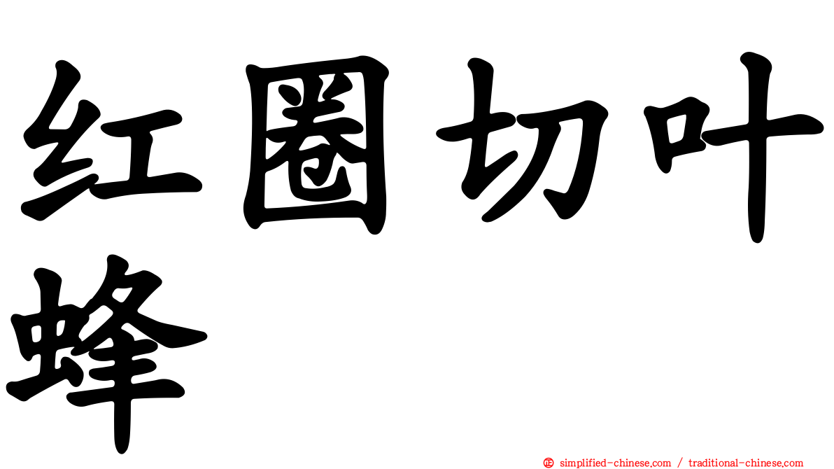 红圈切叶蜂