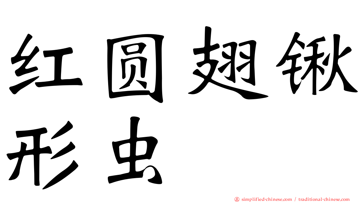 红圆翅锹形虫