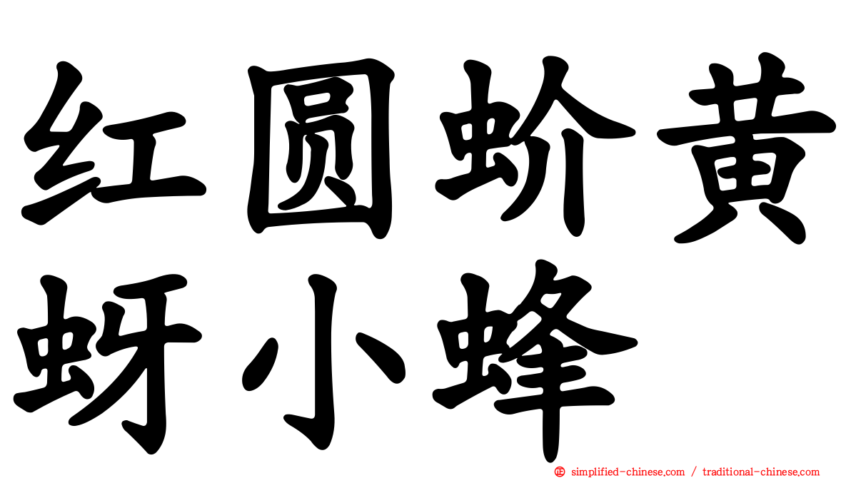 红圆蚧黄蚜小蜂