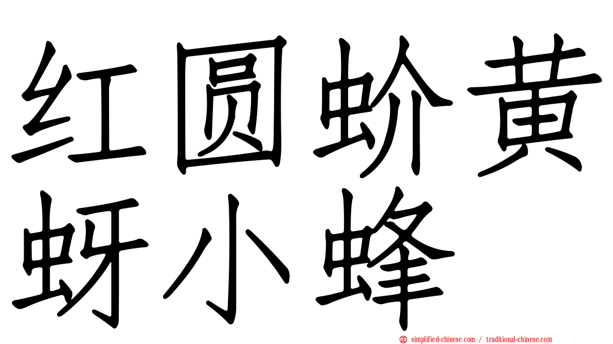 红圆蚧黄蚜小蜂