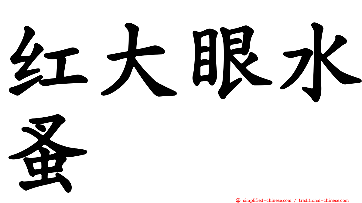 红大眼水蚤