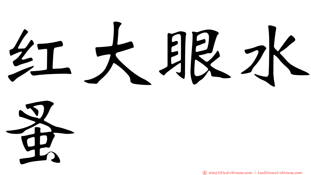 红大眼水蚤