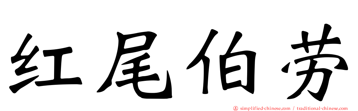 红尾伯劳