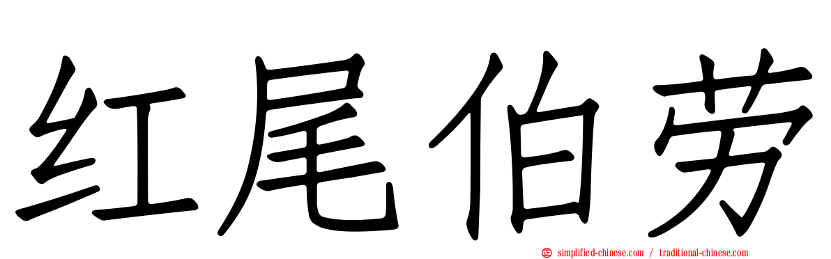 红尾伯劳