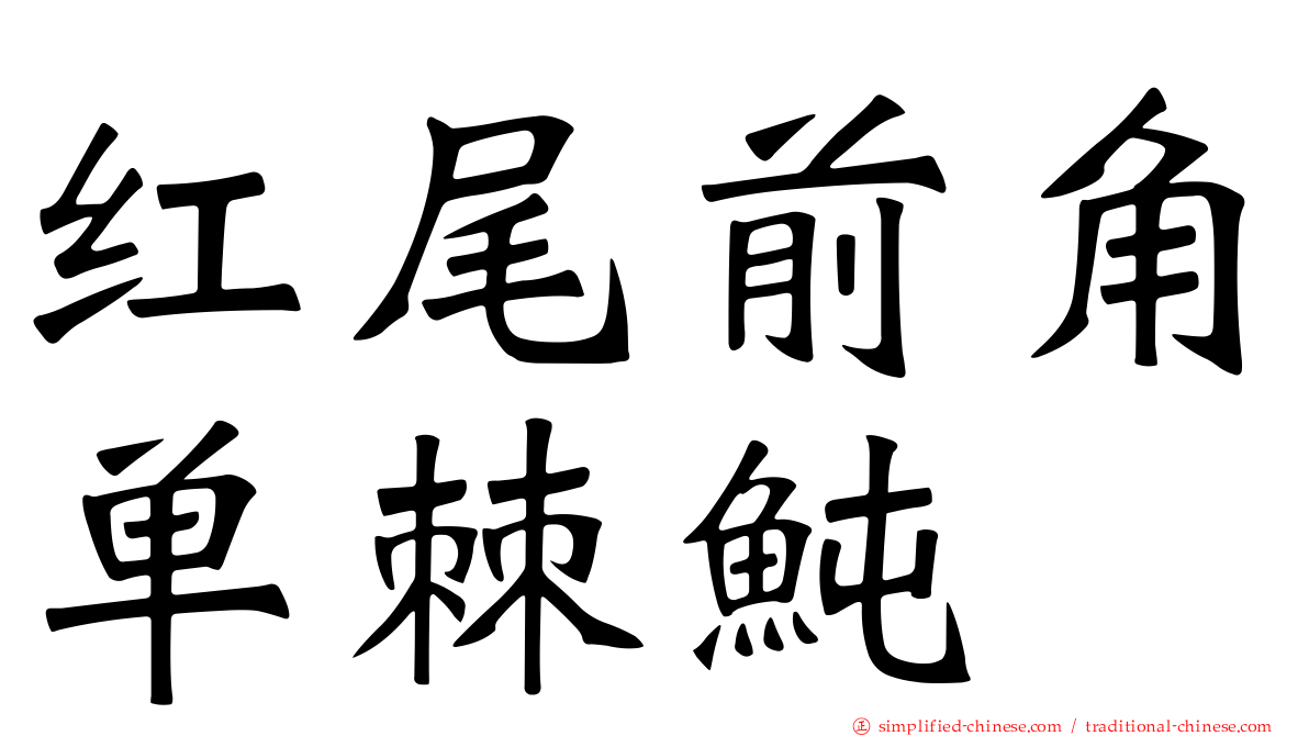 红尾前角单棘鲀