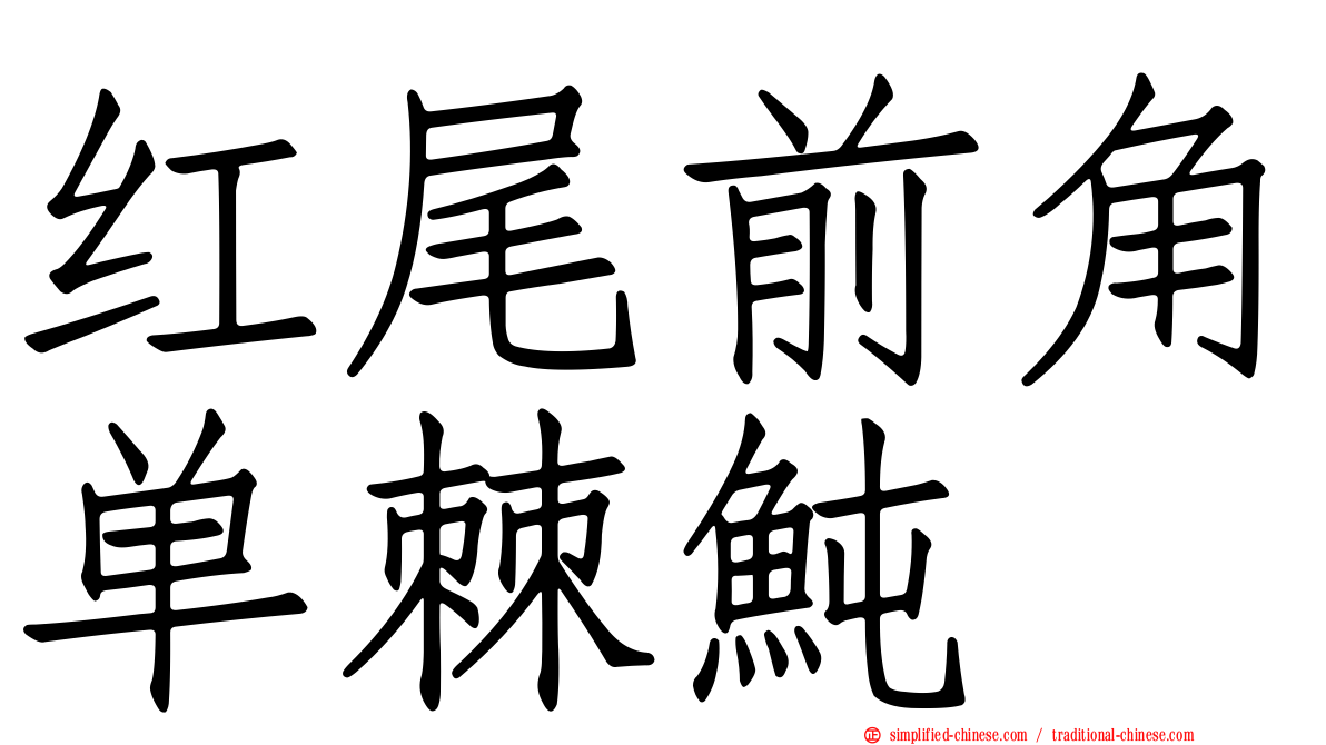 红尾前角单棘鲀