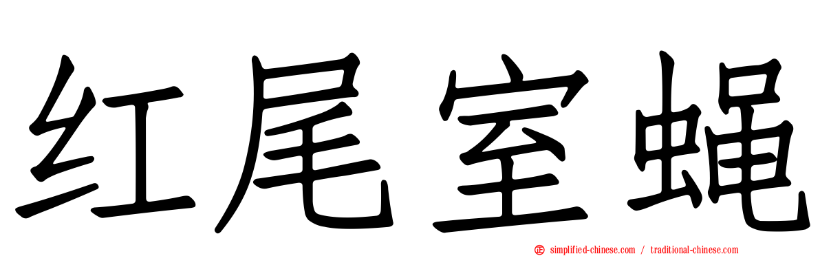 红尾室蝇