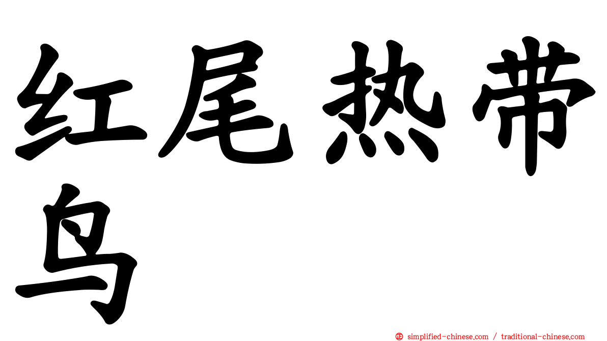 红尾热带鸟