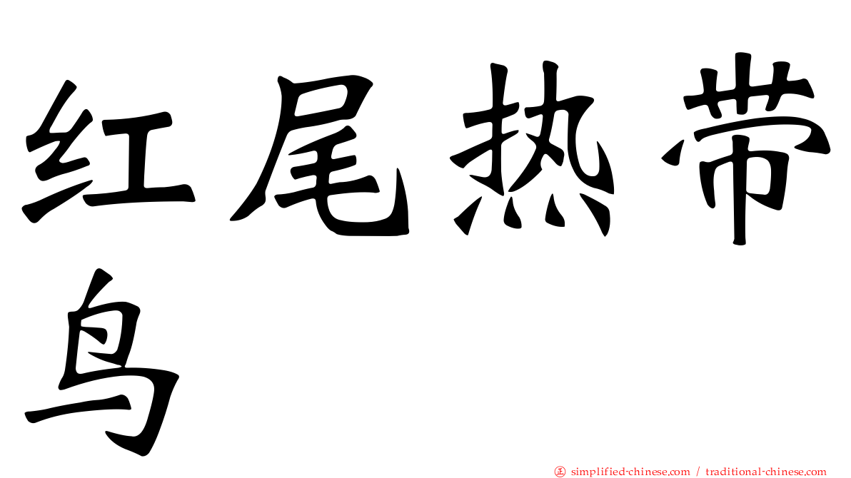 红尾热带鸟