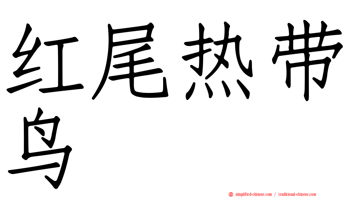 红尾热带鸟