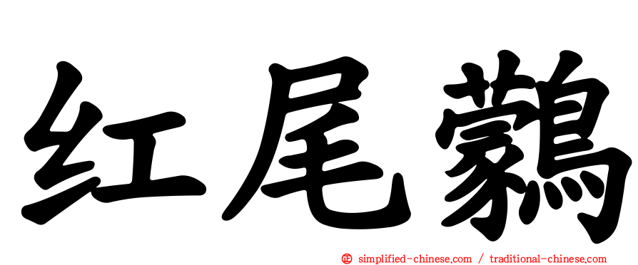 红尾鹲