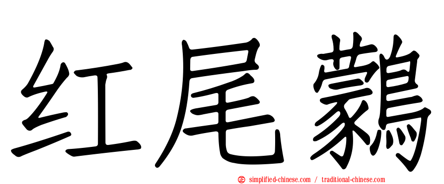 红尾鹲