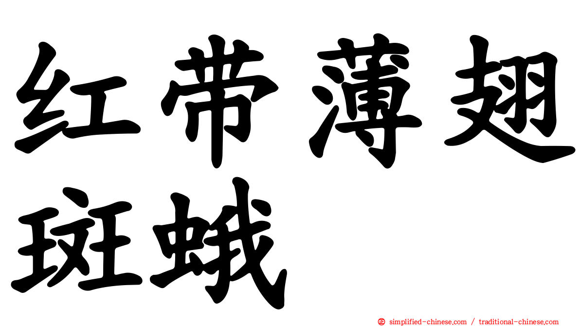 红带薄翅斑蛾