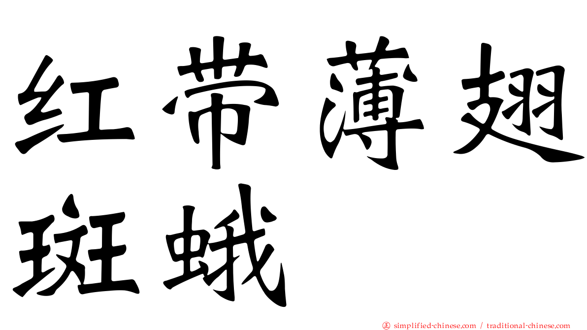 红带薄翅斑蛾