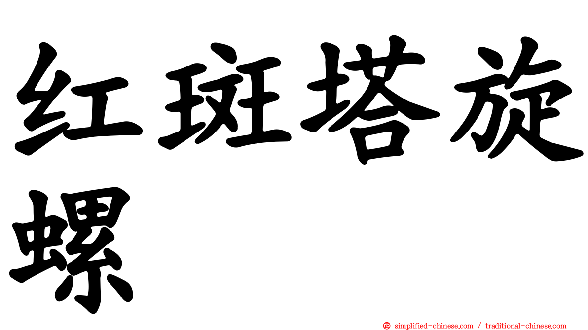 红斑塔旋螺