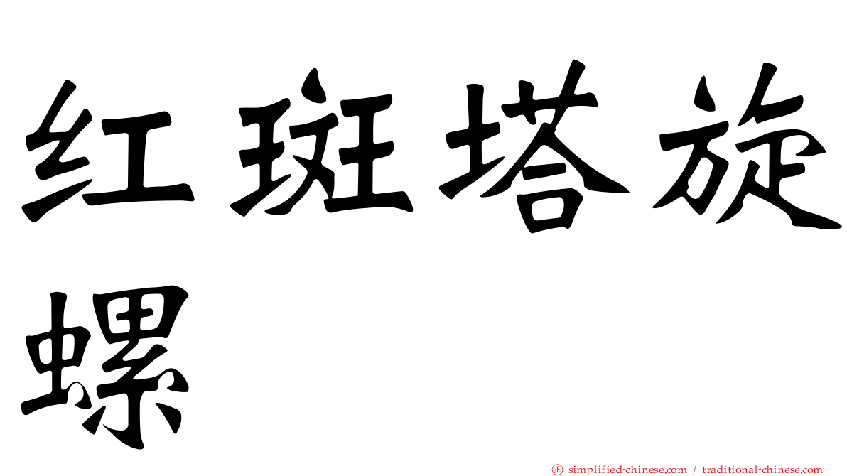 红斑塔旋螺