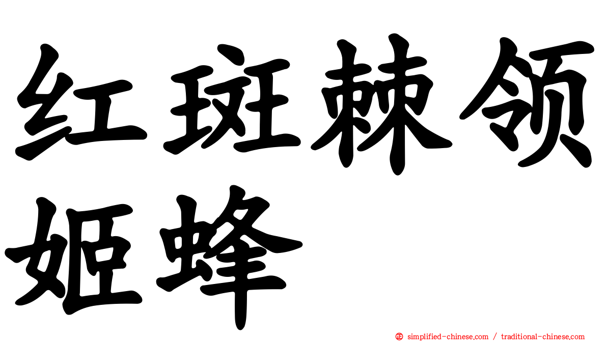 红斑棘领姬蜂