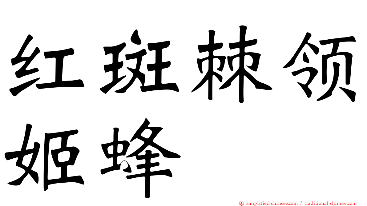 红斑棘领姬蜂