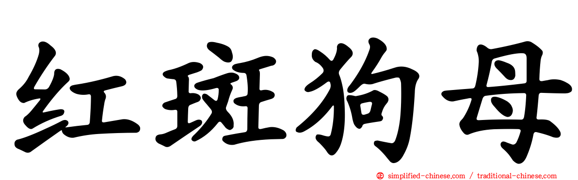 红斑狗母