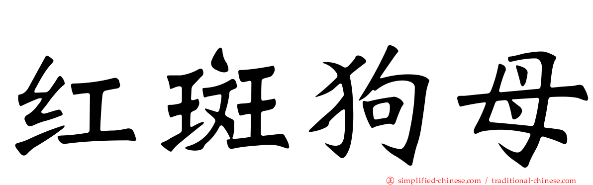 红斑狗母