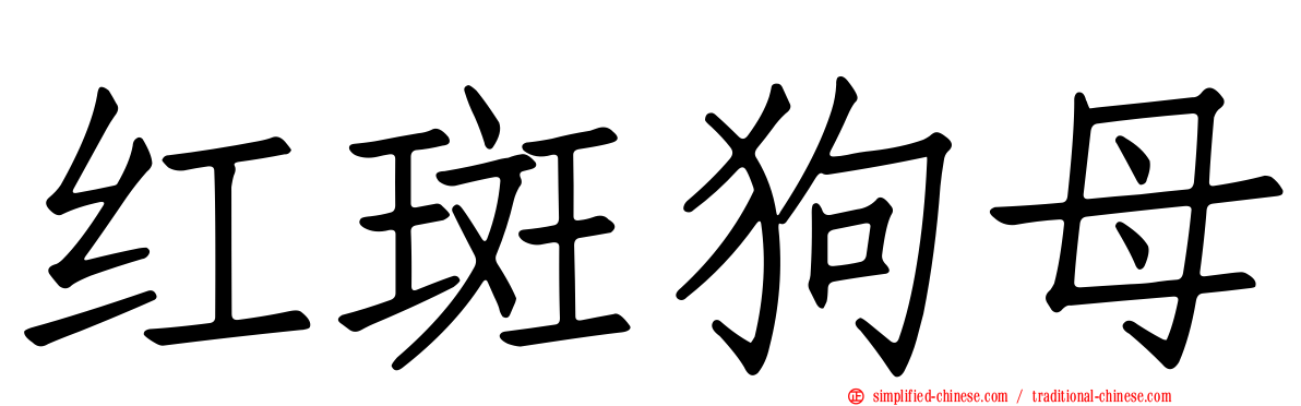 红斑狗母