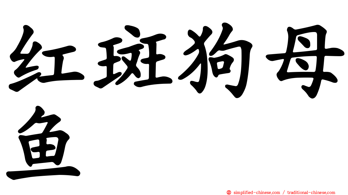红斑狗母鱼