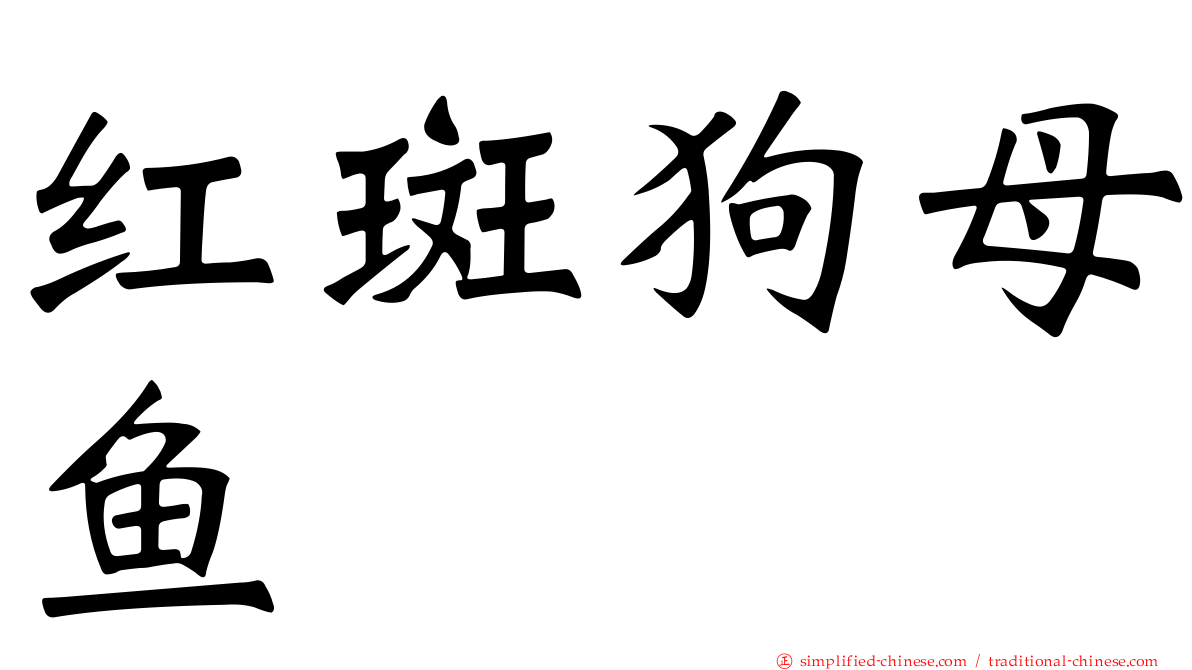 红斑狗母鱼