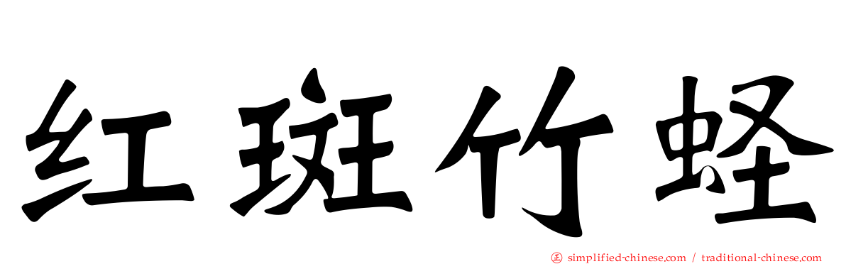 红斑竹蛏