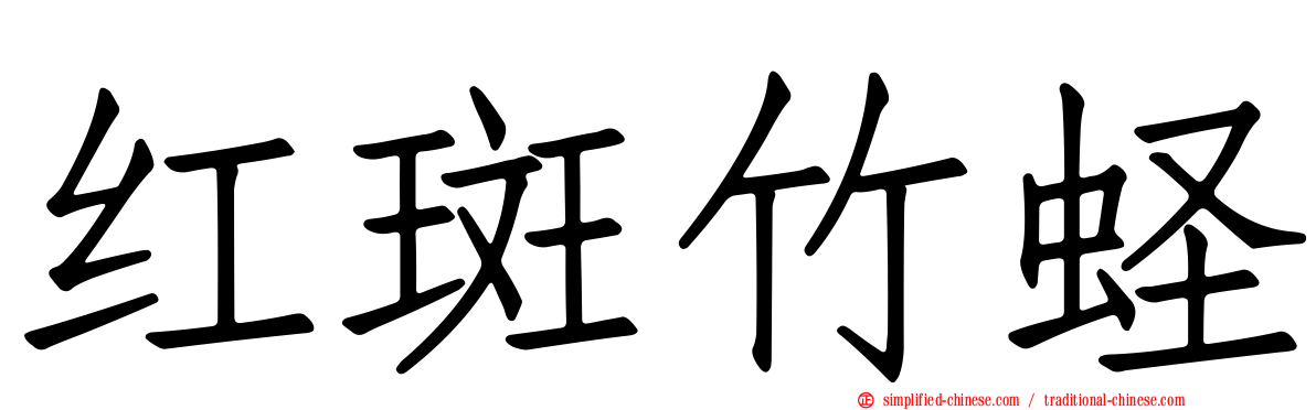 红斑竹蛏