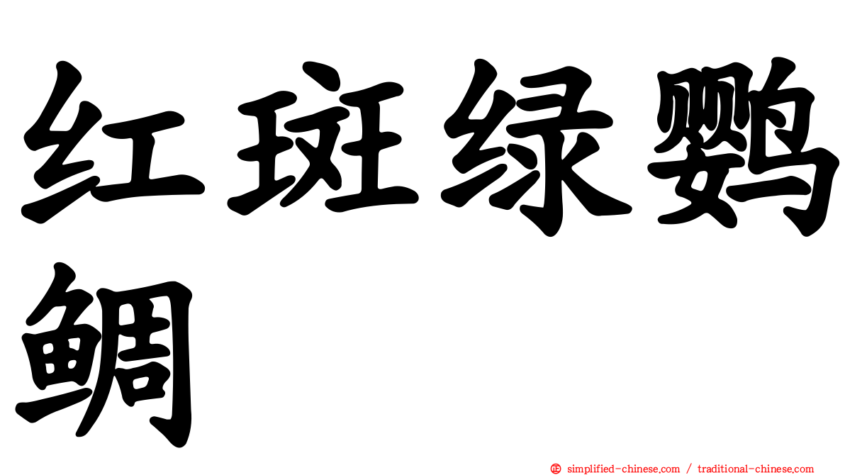 红斑绿鹦鲷