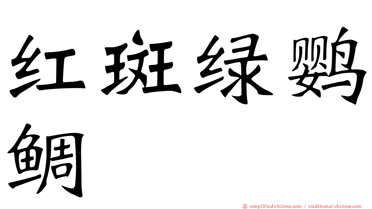 红斑绿鹦鲷