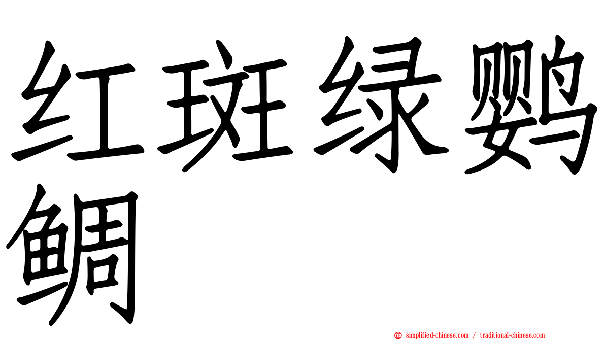 红斑绿鹦鲷
