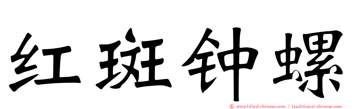 红斑钟螺